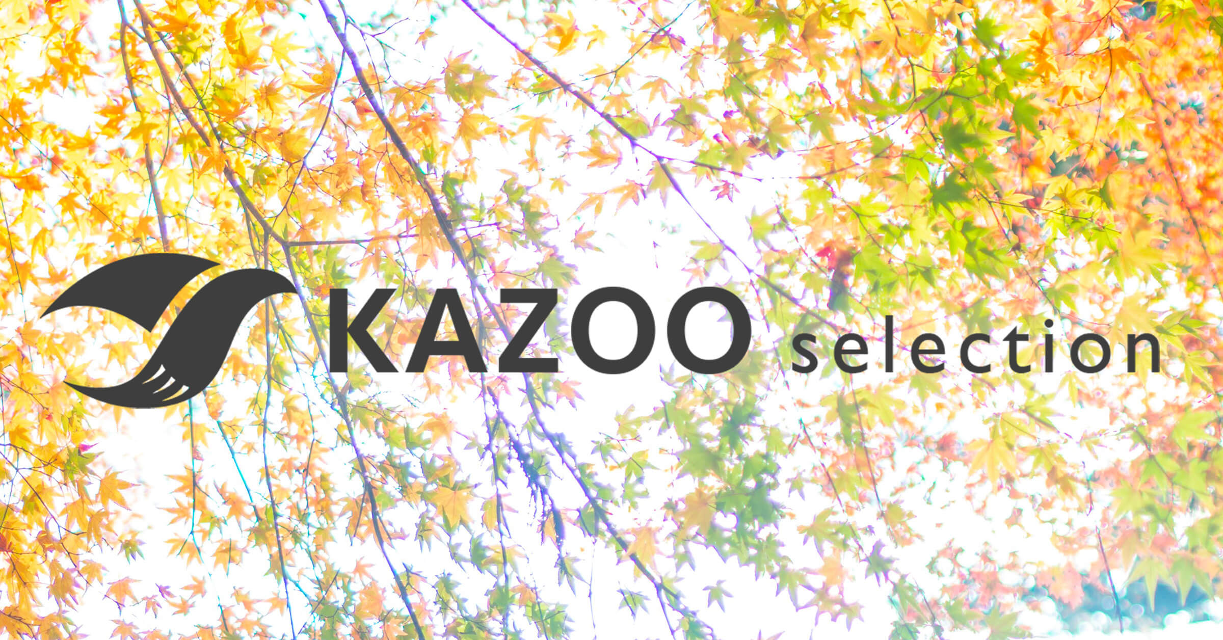 ONLINE SHOP KAZOO selection
